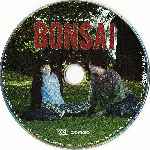 carátula cd de Bonsai