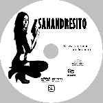 carátula cd de Sanandresito - Custom - V4