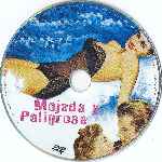 carátula cd de Mojada Y Peligrosa