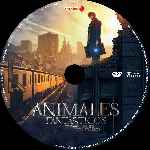cartula cd de Animales Fantasticos Y Donde Encontrarlos - Custom - V5