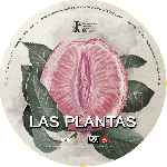 carátula cd de Las Plantas - Custom