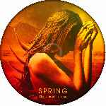 cartula cd de Spring - Custom