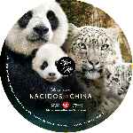 carátula cd de Nacidos En China - Custom