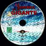 carátula cd de La Sombra De Un Gigante