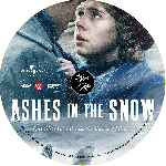 carátula cd de Ashes In The Snow - Custom