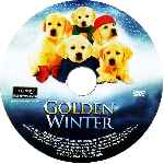 carátula cd de Golden Winter - V2