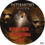 carátula cd de Intermedio - Custom