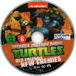 carátula cd de Las Tortugas Ninja - Viejos Amigos Nuevos Enemigos - Temporada 02 - Disco 02