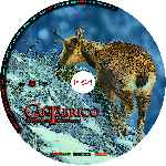 carátula cd de Cantabrico - Custom - V3
