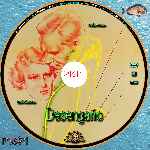 carátula cd de Desengano - Custom - V3