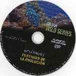 carátula cd de Bbc Wild Series - 03 - Galapagos - Testigos De La Evolucion