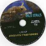 carátula cd de Bbc Wild Series -11 - Caribe - Arrecifes Y Naufragios