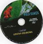carátula cd de Bbc Wild Series - 13 - Caribe - Costas Secretas