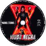 carátula cd de Viuda Negra - Custom - V13
