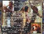 carátula trasera de divx de Como Perros Y Gatos