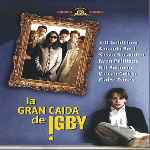 carátula frontal de divx de La Gran Caida De Igby - V2