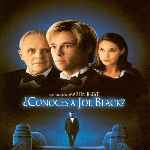 carátula frontal de divx de Conoces A Joe Black