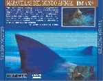 carátula trasera de divx de Maravillas Del Mundo Animal - En Busca De Los Grandes Tiburones