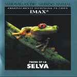 carátula frontal de divx de Maravillas Del Mundo Animal - Volumen 03 - Fauna De La Selva