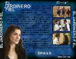 carátula trasera de divx de El Jardinero Fiel - V2