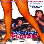 carátula frontal de divx de American Playboy - 2003