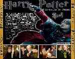 cartula trasera de divx de Harry Potter Y El Caliz De Fuego - V2