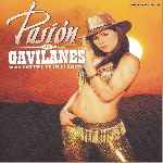 carátula frontal de divx de Pasion De Gavilanes