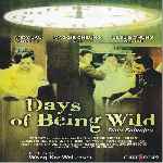 carátula frontal de divx de Days Of Being Wild - Dias Salvajes