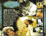 carátula trasera de divx de Alicia En El Pais De Las Maravillas - 1999