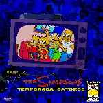 carátula frontal de divx de Los Simpson - Temporada 14
