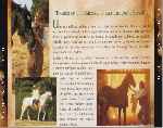 carátula trasera de divx de Belleza Negra - 1994