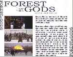 carátula trasera de divx de Forest Of The Gods