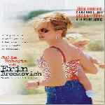 carátula frontal de divx de Erin Brockovich
