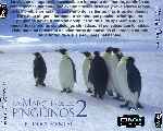 carátula trasera de divx de La Marcha De Los Pinguinos 2