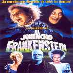 carátula frontal de divx de El Jovencito Frankenstein