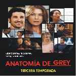 carátula frontal de divx de Anatomia De Grey - Temporada 03