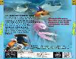 carátula trasera de divx de Movida Bajo El Mar