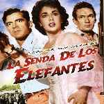 carátula frontal de divx de La Senda De Los Elefantes
