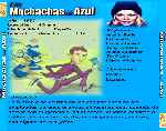 carátula trasera de divx de Las Muchachas De Azul