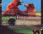 carátula trasera de divx de Grizzly Man - V2