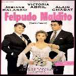 carátula frontal de divx de Felpudo Maldito
