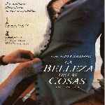 carátula frontal de divx de La Belleza De Las Cosas