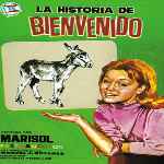 carátula frontal de divx de La Historia De Bienvenido