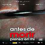 carátula frontal de divx de Antes De Morir Piensa En Mi
