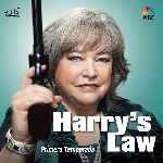 carátula frontal de divx de Harrys Law - Temporada 01