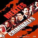 carátula frontal de divx de Mentes Criminales - Temporada 05
