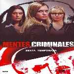 carátula frontal de divx de Mentes Criminales - Temporada 06