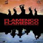carátula frontal de divx de Flamenco Flamenco 