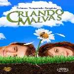 carátula frontal de divx de Criando Malvas - Temporada 01
