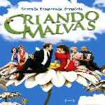 carátula frontal de divx de Criando Malvas - Temporada 02